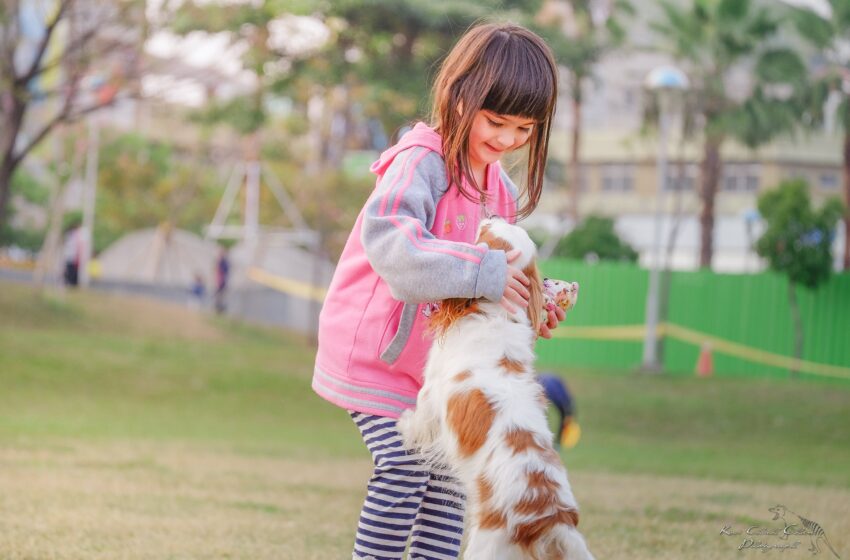 Melhor raça de cachorro para criança