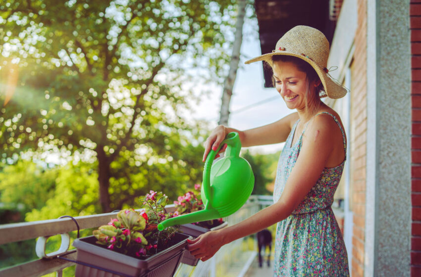  Plantas ideais para primavera