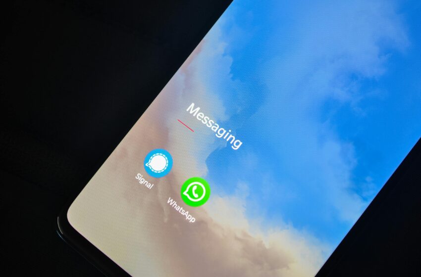  5 dicas de como evitar golpes no WhatsApp