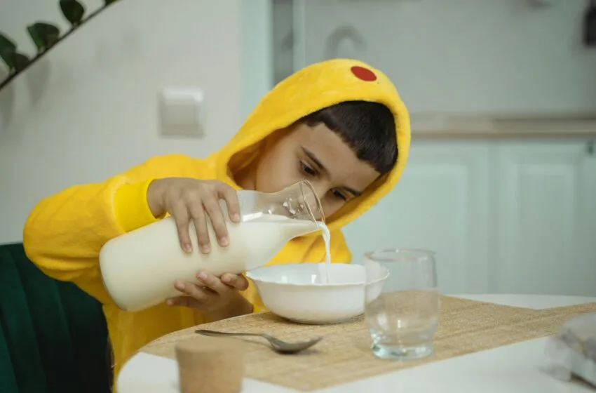 Substituições em dietas sem lactose