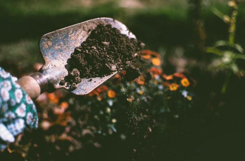  Como planejar e construir um jardim