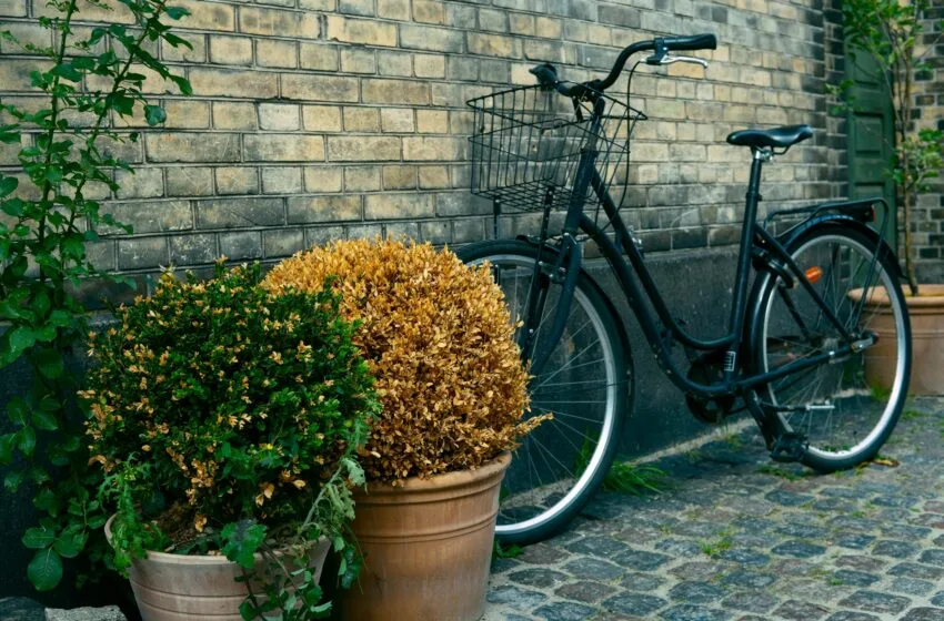  Ideias de paisagismo para quintal pequeno