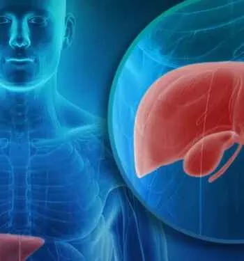 Essas 5 plantas são perfeitas para o seu jardim e o motivo vai te surpreender