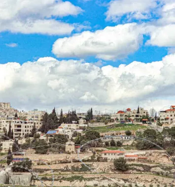 Gordura no fígado: veja o que pode causar e como evitar