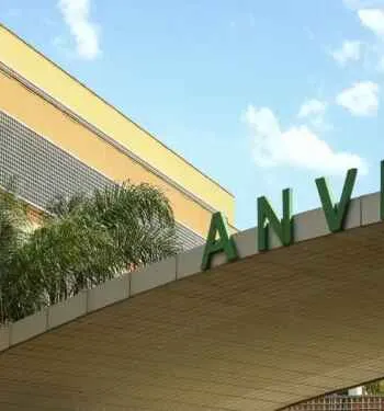 Marca famosa de sal é proibida pela Anvisa no Brasil