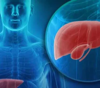 Essas 5 plantas são perfeitas para o seu jardim e o motivo vai te surpreender