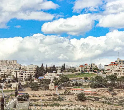 Gordura no fígado: veja o que pode causar e como evitar