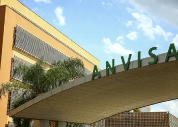 Anvisa retira essa MARCA famosa de panetone dos mercados; veja o motivo