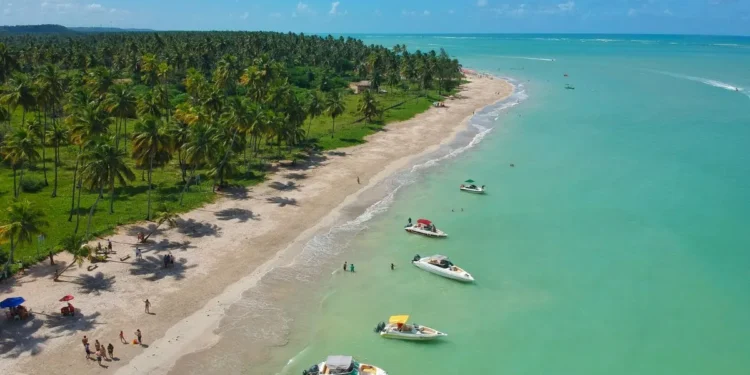 Tudo que você precisa saber antes de viajar para o nordeste em 2025