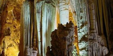 Conheça um pedacinho da Amazônia sem sair de São Paulo; veja como!
