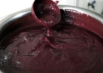 Nem açaí, nem tucupi, nem maniçoba em Belém? Entenda a polêmica do COP30 e se os alimentos estão proibidos