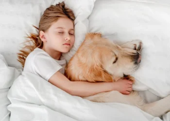 Especialista explica benefícios de dormir perto do seu cachorro; entenda
