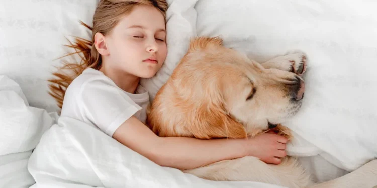 Especialista explica benefícios de dormir perto do seu cachorro; entenda