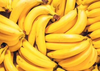 Esses 9 alimentos NÃO DEVEM ser colocados na geladeira; descubra o motivo