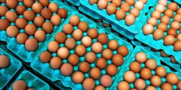 Nem margarina, nem azeite: veja o ingrediente para usar na hora de fritar ovo