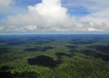 Maior ponte do Norte conecta Pará e Amapá e ajudam no desenvolvimento da Amazônia