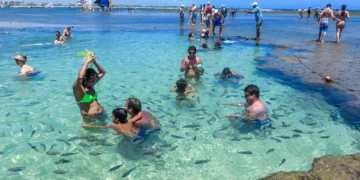 Porto de Galinhas ganha destaque e procura no Google aumenta em 400% depois de agressões