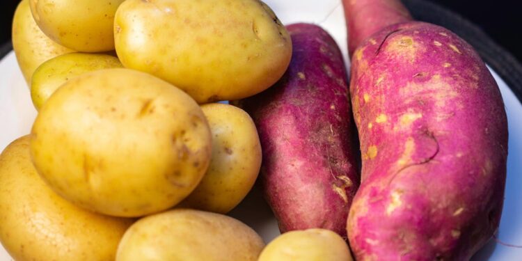 O segredo para conservar nutrientes e sabor dessa verdura; veja qual é!