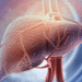 Essa é a melhor forma de resolver a gordura no fígado, diz endocrinologista