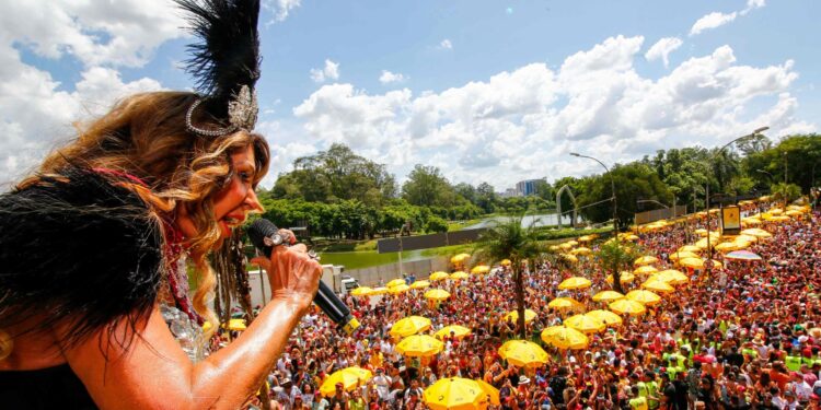 Quer aproveitar bastante o carnaval em São Paulo? Veja as melhores atrações