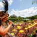 Quer aproveitar bastante o carnaval em São Paulo? Veja as melhores atrações