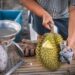 A fruta proibida que divide opiniões com seu cheiro forte; veja qual é!